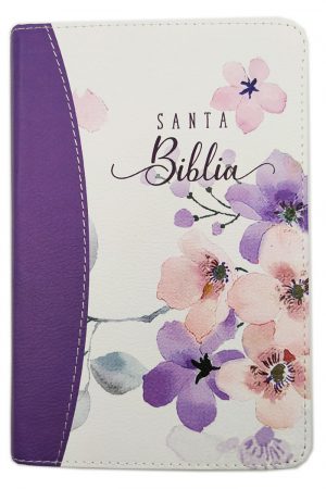 Biblia RVR2020 portátil letra grande colección primavera lila con canto pintado